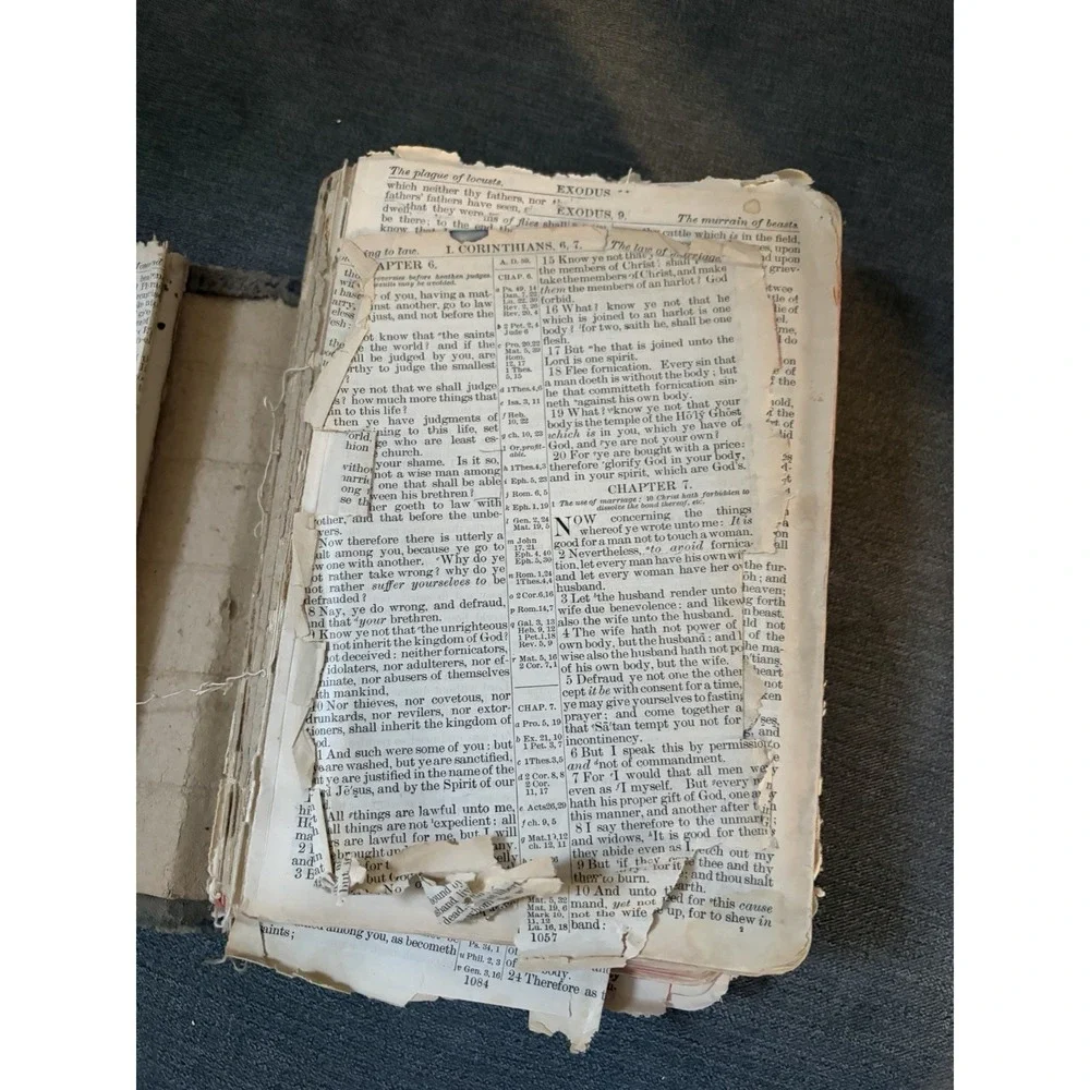 Antique Holy Bible Red Letter International Bible Press Epherma Junk Journal